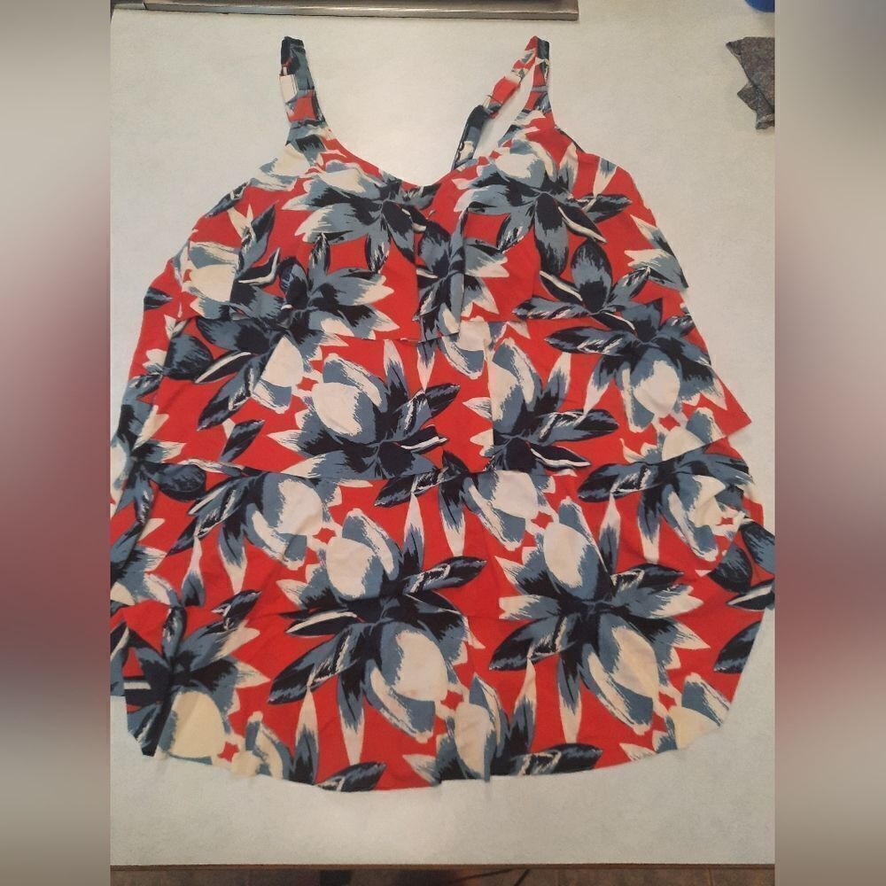 Catherines Floral One Piece Swimsuit 24W
